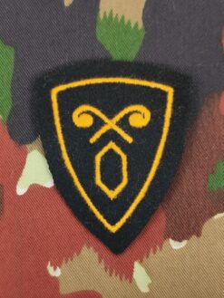 Funktionsabzeichen Gastrupp Ord. 1949, Variante 2