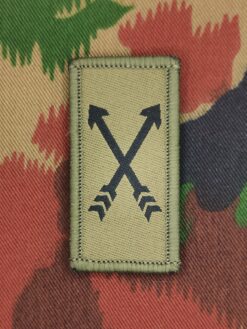 Truppengattungsabzeichen Spezialkräfte