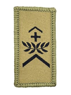 Gradabzeichen (05) Wachtmeister, Variante 1