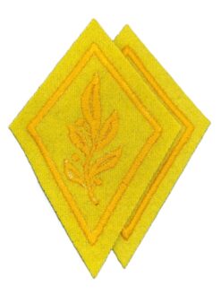 Kragenspiegel Heereseinheitskommandant Ord. 1949, Set, Reproduktion