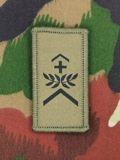 Gradabzeichen (05) Wachtmeister, Variante 4