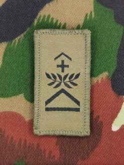 Gradabzeichen (06) Oberwachtmeister, Variante 1