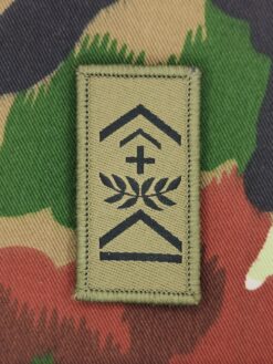 Gradabzeichen (08) Fourier, Variante 4