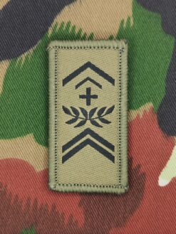 Gradabzeichen (10) Adjutant, Variante 4