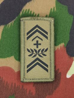 Gradabzeichen (11) Stabsadjutant, Variante 4