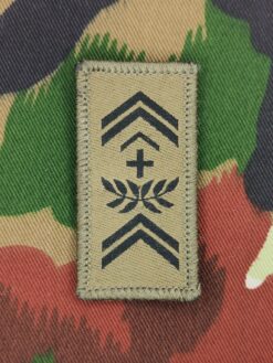 Gradabzeichen (11) Stabsadjutant, Variante 2