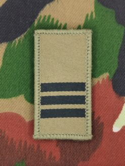 Gradabzeichen (16) Hauptmann, Variante 1