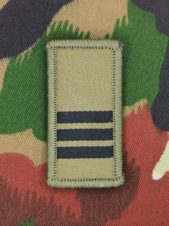 Gradabzeichen (16) Hauptmann, Variante 4