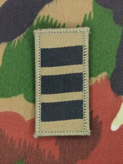 Gradabzeichen (19) Oberst, Variante 2