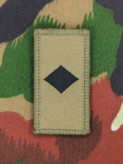 Gradabzeichen Fachoffizier, Variante 1