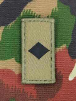 Gradabzeichen Fachoffizier, Variante 4