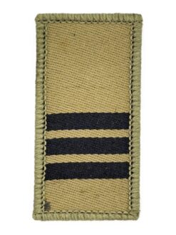 Gradabzeichen (16) Hauptmann, Variante 1