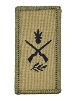 Truppengattungsabzeichen Infanterie, Variante 1