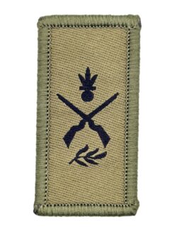 Truppengattungsabzeichen Infanterie, Variante 4