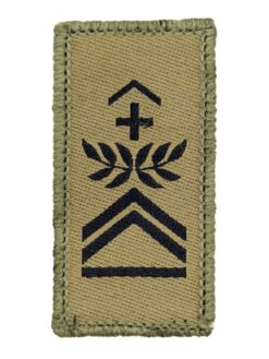 Gradabzeichen (09) Hauptfeldweibel, Variante 1