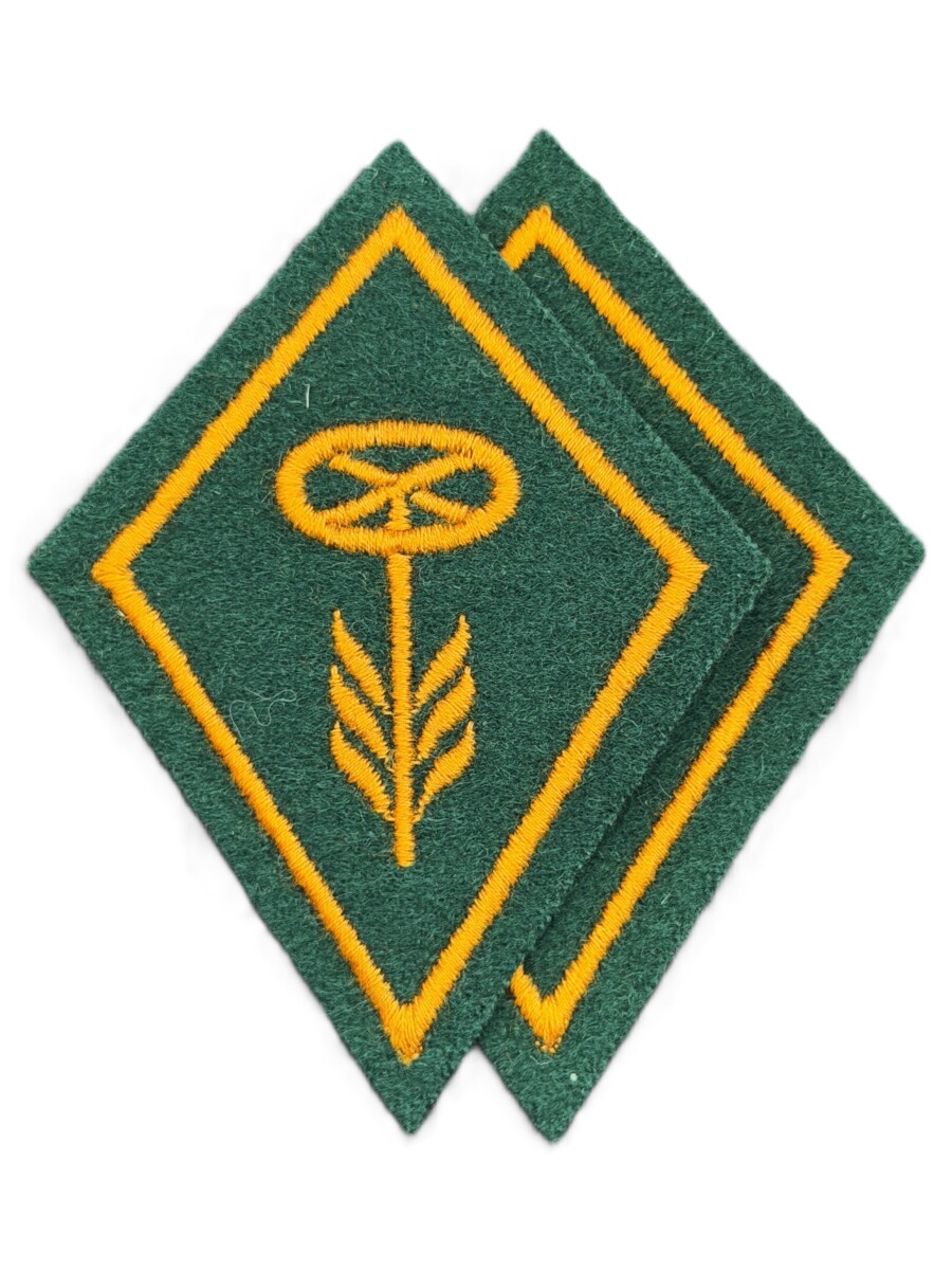 Kragenspiegel Motorfahrer / Motorradfahrer Ord. 1972, Set, Variante 2