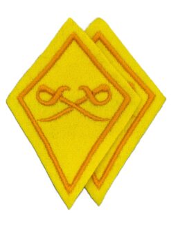 Kragenspiegel Dragoner Ord. 1968, Set, Variante 2