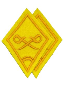 Kragenspiegel Dragoner Ord. 1968, Set, Variante 1