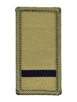 Gradabzeichen (14) Leutnant, Variante 4