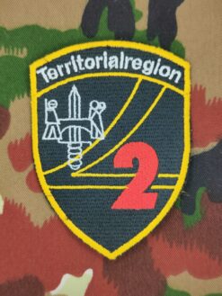 Verbandsabzeichen Territorialregion 2