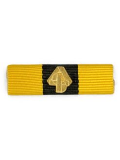 Ribbon Ausbildungsauszeichnung Selbst- und Kameradenhilfe / ABC Abwehr
