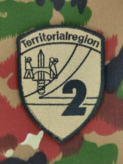 Verbandsabzeichen Territorialregion 2