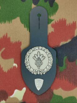 Brusttaschenanhänger Nachschubsoldat mit Spezialistenabzeichen Fahrer B1 / C1