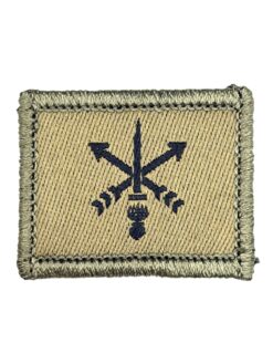 Funktionsabzeichen Armeeaufklärungsdetachement, Variante 2