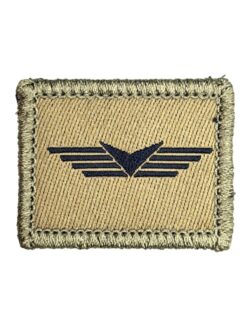 Funktionsabzeichen Drohnengeschwader, Variante 2