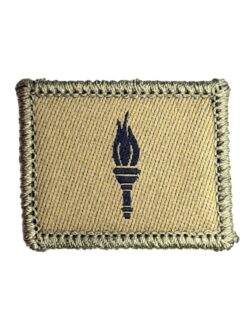 Funktionsabzeichen Sportsoldat, Variante 2