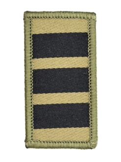 Gradabzeichen (19) Oberst, Variante 4