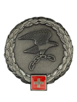 Béretemblem Lehrverband Logistik 1, Variante 1