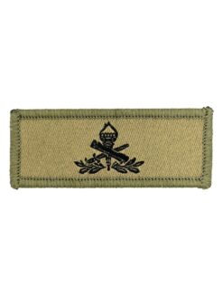 Anwärter Berufsmilitär Abzeichen Ord. 2004 Tenue B