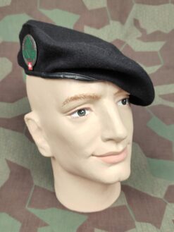 Béret Ord. 1972, Versorgungsschule Bern 73/273