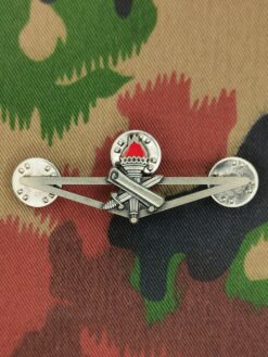 Fachberufsmilitär Abzeichen Ord. 2004 Tenue A