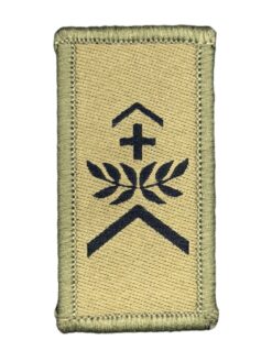 Gradabzeichen (05) Wachtmeister, Variante 4