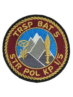 Verbandsabzeichen Trsp Bat 5 Kp 1