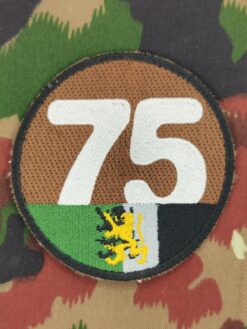 Verbandsabzeichen Füs Bat 075 Kp 2, Variante 2