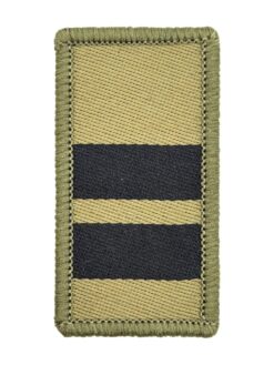 Gradabzeichen (18) Oberstleutnant, Variante 1