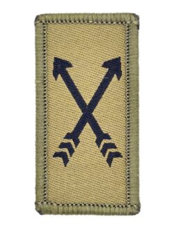 Truppengattungsabzeichen Spezialkräfte