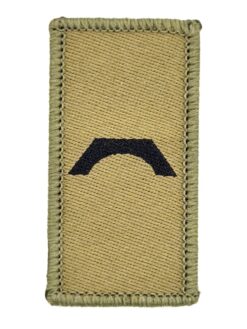 Dienstzweigabzeichen Territorialdienst