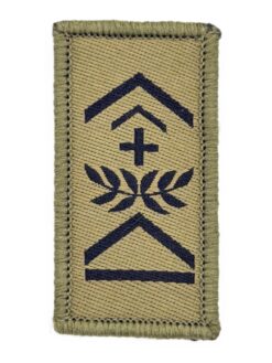 Gradabzeichen (08) Fourier, Variante 4