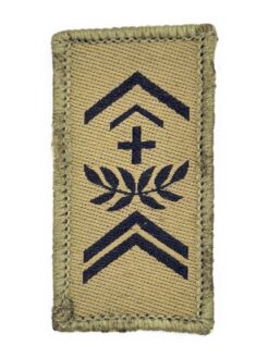 Gradabzeichen (10) Adjutant, Variante 1