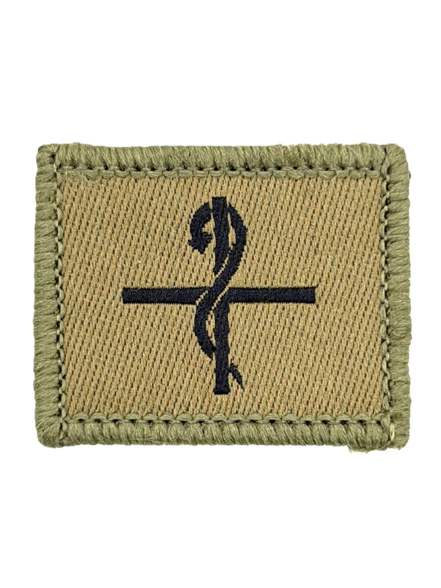 Funktionsabzeichen Sanitätssoldat, Variante 1