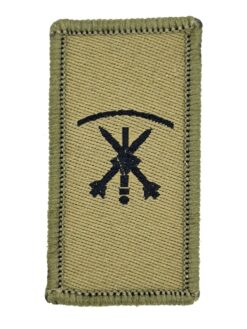 Truppengattungsabzeichen Fliegerabwehrtruppen, Variante 4