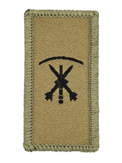 Truppengattungsabzeichen Fliegerabwehrtruppen, Variante 2