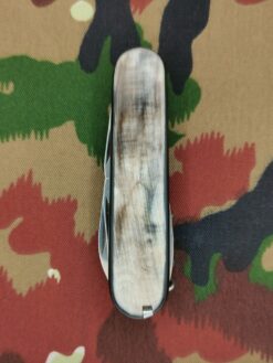 Offiziersmesser Spartan, Horn, Victorinox