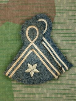 Dienstalterabzeichen Fahrer Chef / Hengsthalter Chef / Pferdewärter Chef, Stufe 2, Set