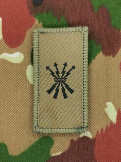 Truppengattungsabzeichen Führungsunterstützungstruppen, Variante 1