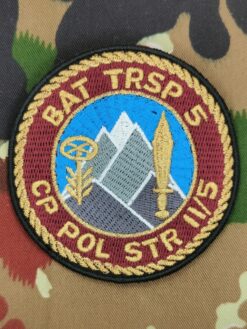 Verbandsabzeichen Trsp Bat 5 Kp 2